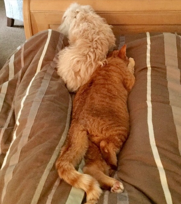 21. Без комментариев:)