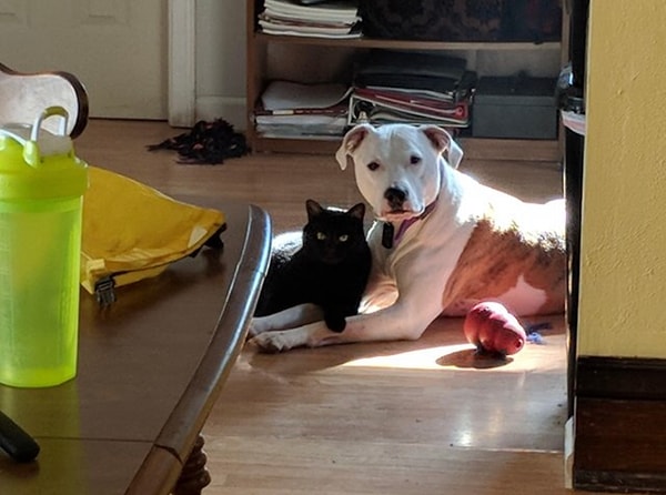 24. Эрл, нас снимают!