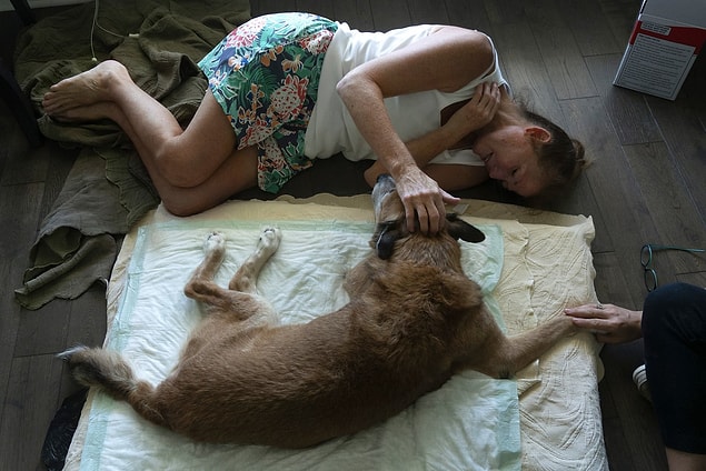 3. Juliet Rubio stretches over to her dog Dingo