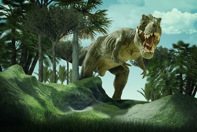 14. "Geçen sene bir biyoloji öğretmenim T-Rex'in sadece 180 santimetre boyunda ve kanatlı olduğunu söyledi."