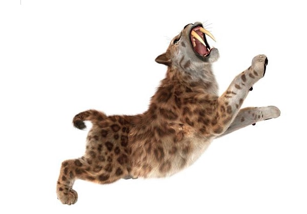 Ваше тотемное животное - это саблезубый тигр! 🐅