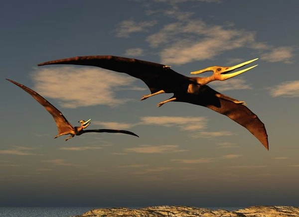 Ваше тотемное животное - это птеродактиль!