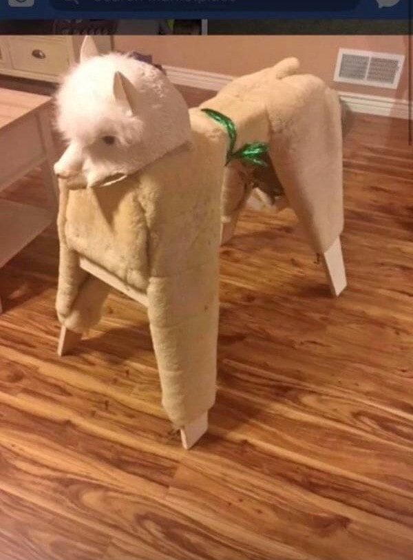 26. Трудное детство, деревянные игрушки...