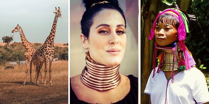 «Женщина-жираф» потратила 5 лет на то, чтобы вытянуть свою шею с помощью колец