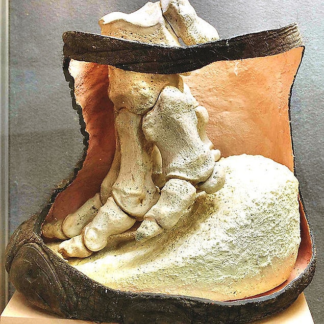 16. Bir filin ayağı.