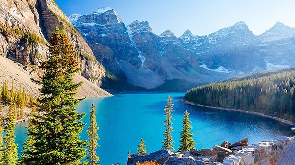 5. Наибольшее количество пресной воды содержится в...