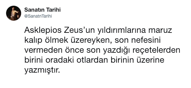 26.