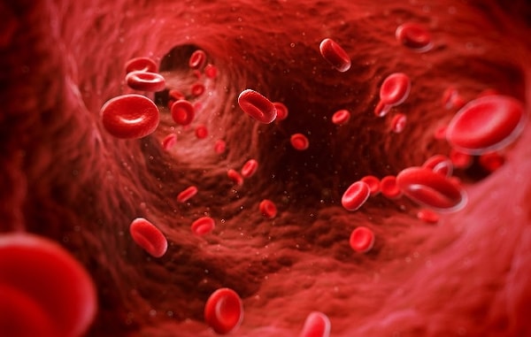 13. Красноватую окраску придает эритроцитам ...