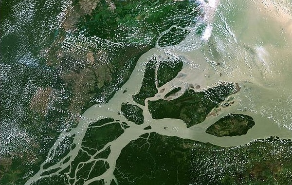 11. В какой океан впадает река Амазонка?