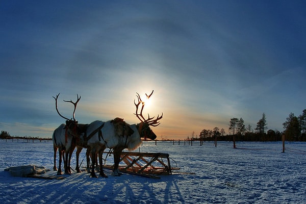 1. Cамый северный полуостров Азии - это...