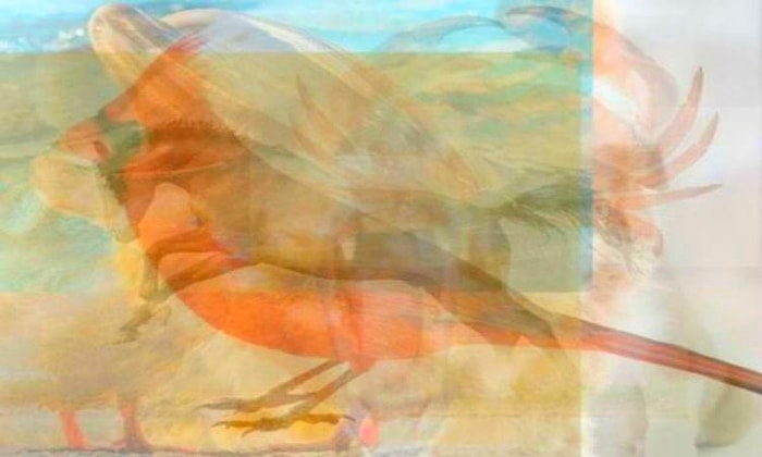 Тест: Каких животных вы увидите здесь первыми, такой у вас и характер