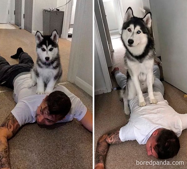 4. Время идет, босс не меняется