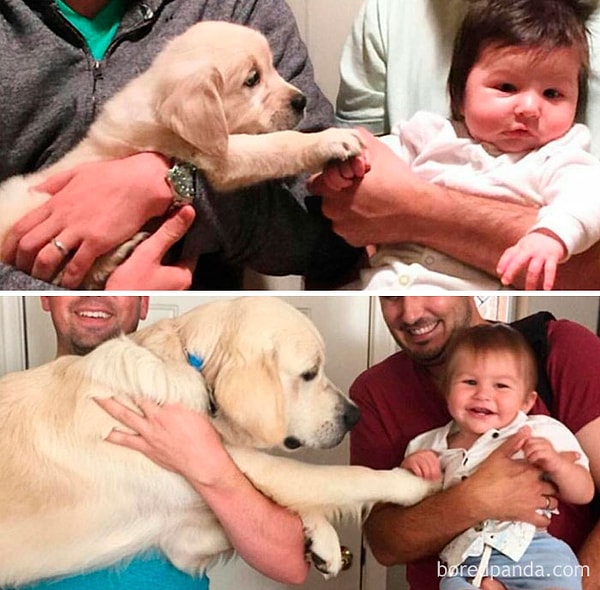 13. Будем друзьями?