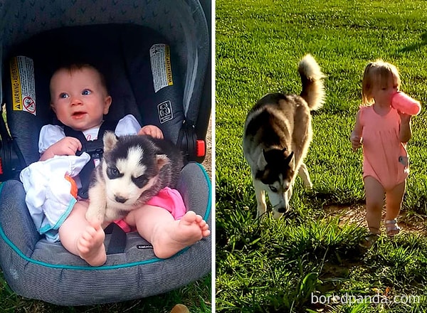 14. Вместе выросли