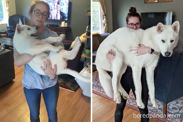 23. А всего-то год прошел!