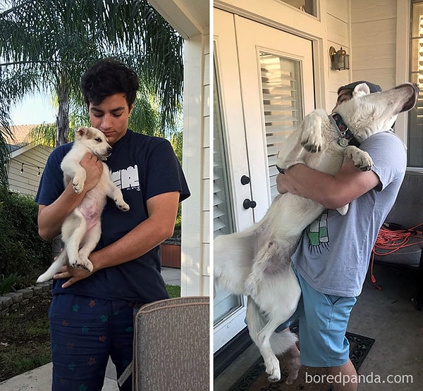 39. "Еще чуть-чуть и он станет выше меня"