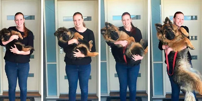 Не успели моргнуть, а они выросли! Милейшие фото хозяев с их питомцами, которые "внезапно" стали взрослыми