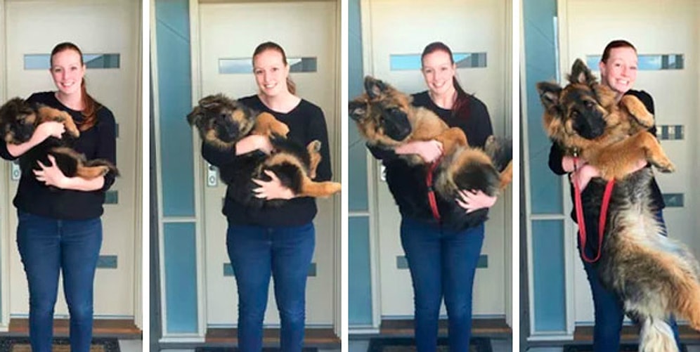 Не успели моргнуть, а они выросли! Милейшие фото хозяев с их питомцами, которые "внезапно" стали взрослыми