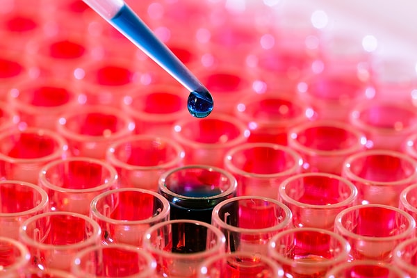 9. В честь каких подопытных животных получил своё название резус-фактор?