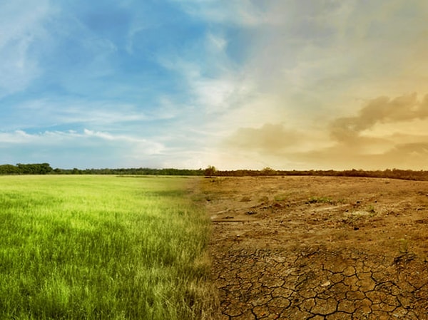 1. Вы верите в изменения климата?