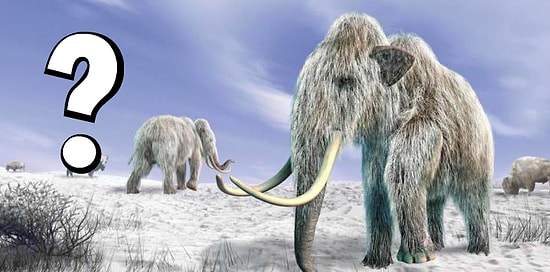 Тест: Сможете ли вы выжить во время следующего ледникового периода?