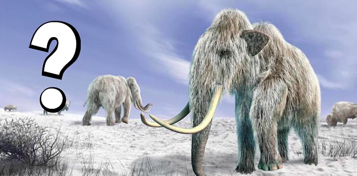 Тест: Сможете ли вы выжить во время следующего ледникового периода?