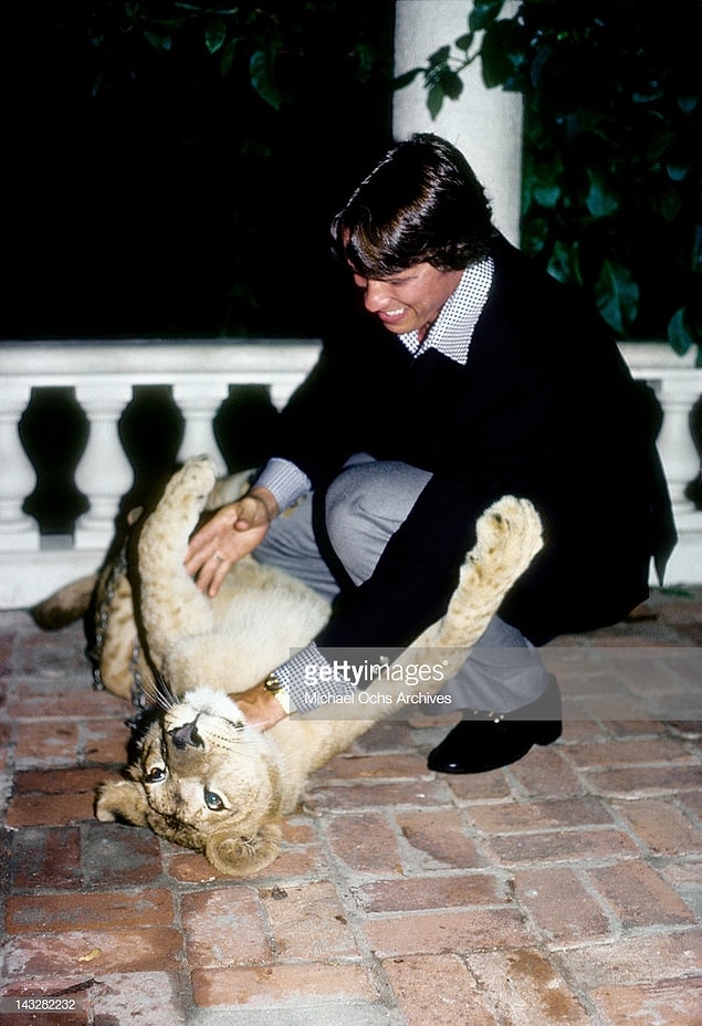 18. Arnold Schwarzenegger wrestling with a lion in 1977