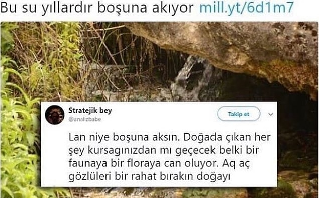 12. Biraz biyoloji lütfen.