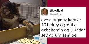 Son Dönemde İnternete Yansımış Kahkaha Seviyesi Arşa Değen 17 Eğlenceli Olay