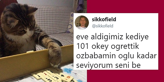 Son Dönemde İnternete Yansımış Kahkaha Seviyesi Arşa Değen 17 Eğlenceli Olay