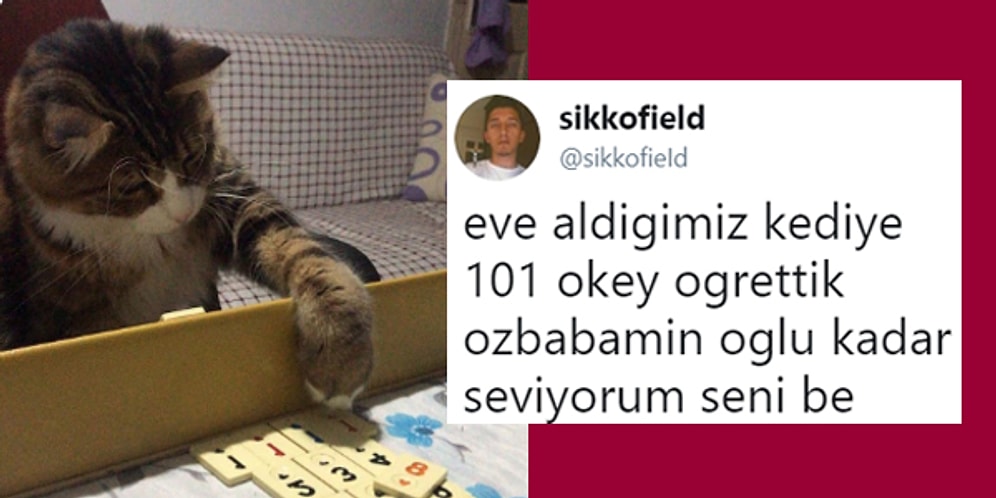 Son Dönemde İnternete Yansımış Kahkaha Seviyesi Arşa Değen 17 Eğlenceli Olay