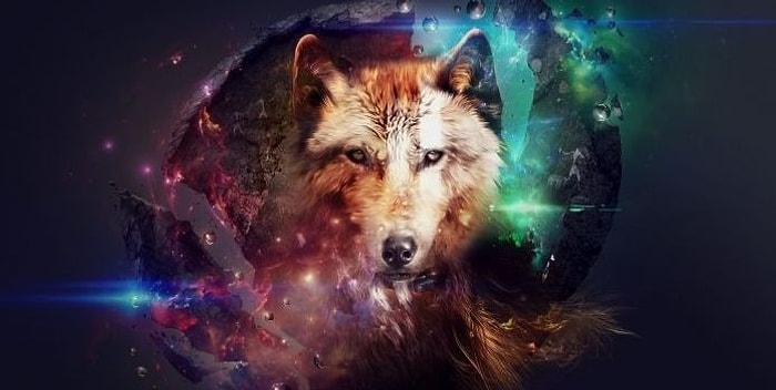 Тест: Какое животное является вашим талисманом?