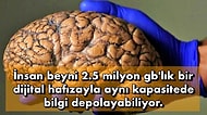 İnsan Vücudunun Bir Mabet Olduğunu Kanıtlar Nitelikte, Bilgi Dağarcığına Eklemelik 15 Bilgi