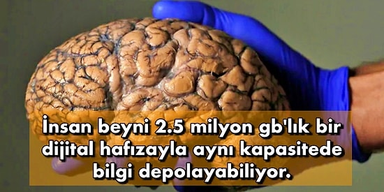 İnsan Vücudunun Bir Mabet Olduğunu Kanıtlar Nitelikte, Bilgi Dağarcığına Eklemelik 15 Bilgi