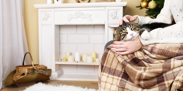 Уют и комфорт - ваш ключ к богатству!