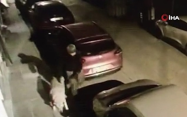 Bir kağıt toplayıcı, bir sokak köpeğine tecavüz etti.