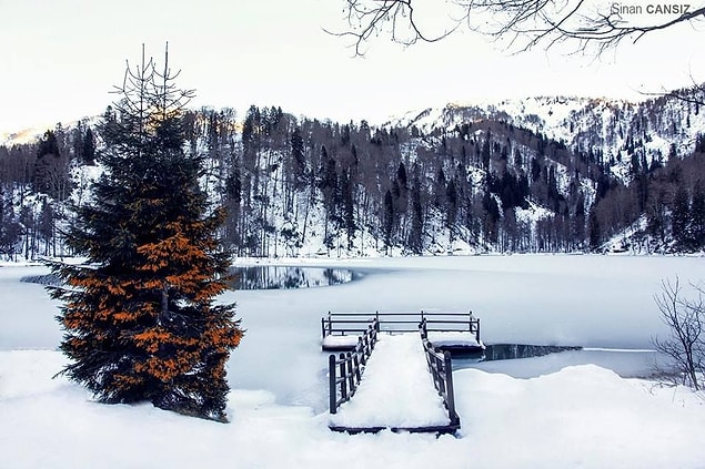 7. Karagöl, Artvin