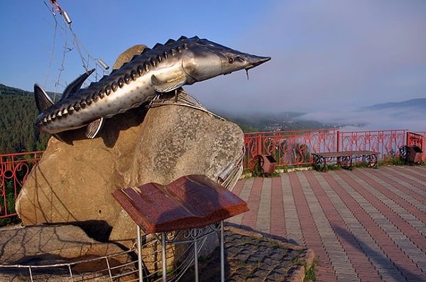 9. Назовите реку Царь-рыбы из одноимённого романа Астафьева.