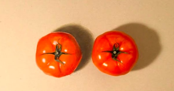 3. Найдите подделку: