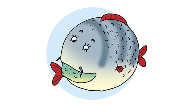 Рыбы: рассеянность