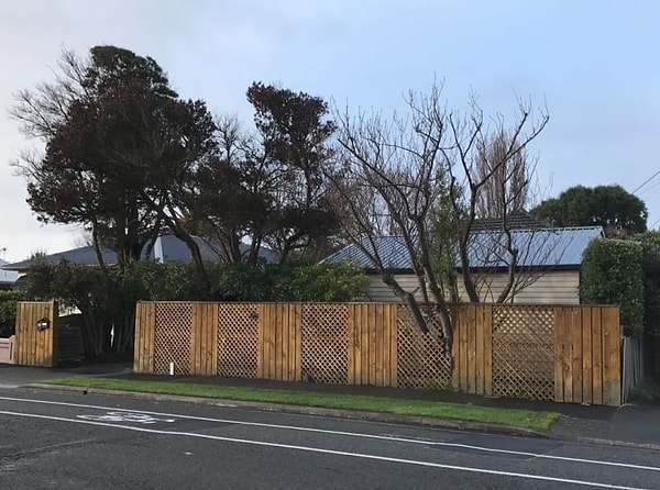 7. Дерево, которое выглядит так, будто бы растёт из забора, кажется простым сбоем компьютерной игры…