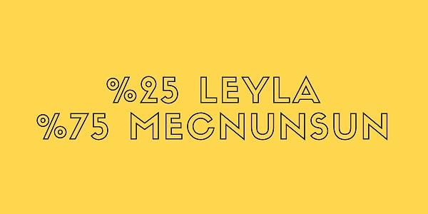 %25 Leyla %75 Mecnunsun!