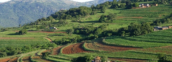 12. И последний вопрос: где находится Свазиленд?