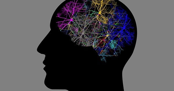 Психология