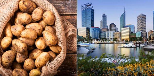 4. Batı Avustralya’da bir kerede 110 kilodan fazla patates bulundurmanıza izin verilmiyor.