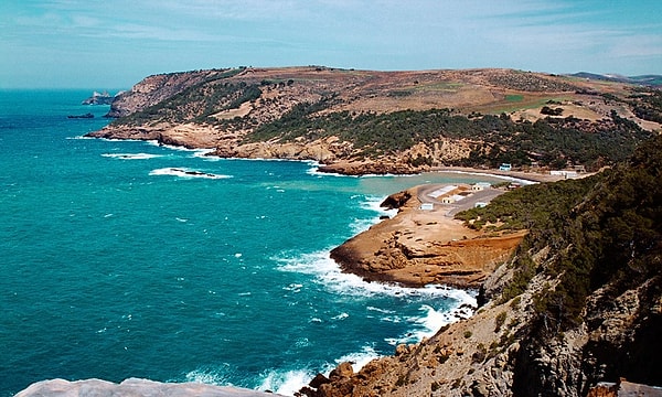 1. На границе каких тектонических плит расположены побережье Алжира, а также северные побережья Туниса и Марокко?