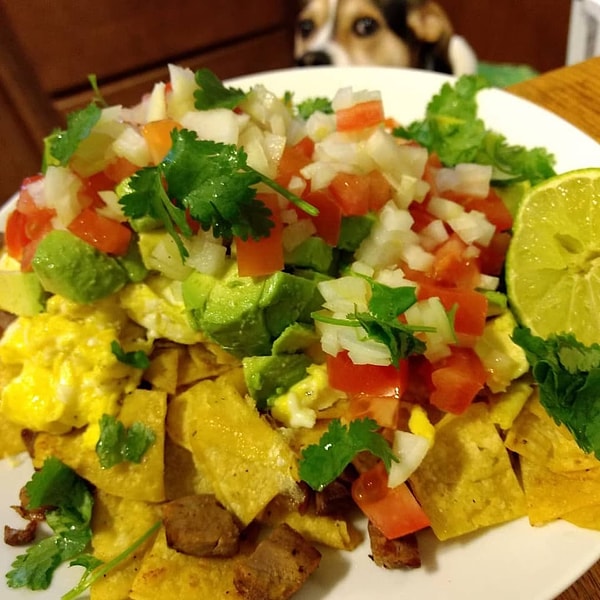 8. "Хозяин, что там в тарелке?"