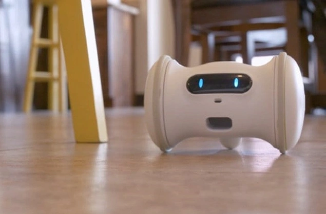 Sadece ABD’de 50.2 milyon köpeğin ve 56.5 milyon kedinin hareketsizlikten dolayı aşırı kilolu olduğu bilgisini göz önüne alırsak bu robot hayat kurtarıcı olacak.