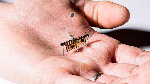 Bir sinek boyutunda ve sineğin hareketlerini taklit edilen bir mikro-robot tasarlanmıştı, bugünlerde test aşamasına geçildi.
