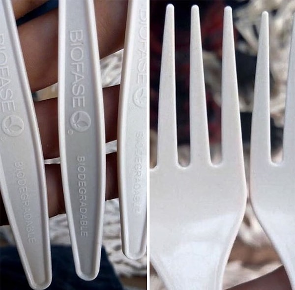 5. Использование данного сырья решает 2 проблемы: во-первых, оно экономично, а во-вторых, косточки авокадо сжигались бы на свалке, что тоже вредит экологии